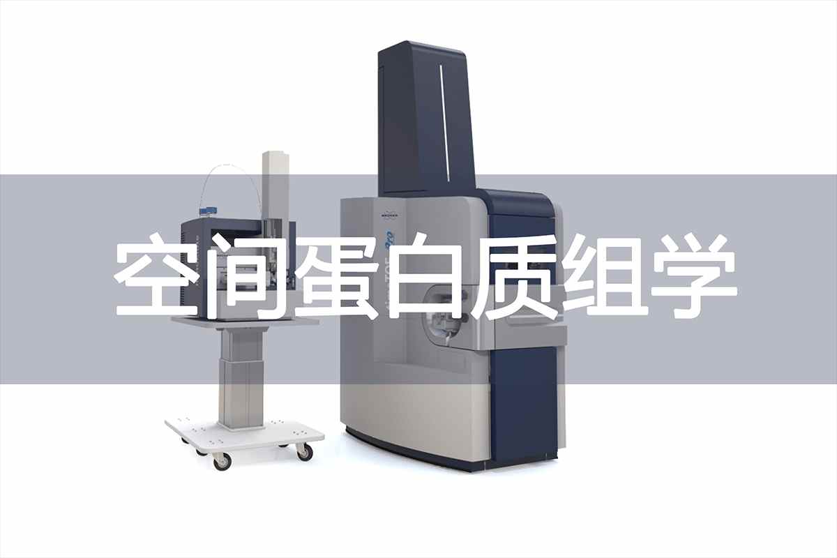 /products_Microscope.html